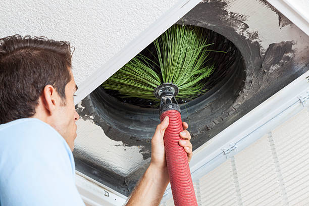 Best Local Air Duct Cleaning Services  in Rendon, TX